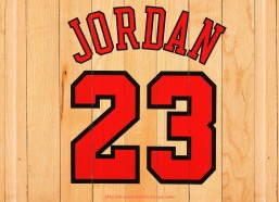 人人体育直播-社会组织在世俱杯主办城市赛事参与中的制度性扶持政策研究